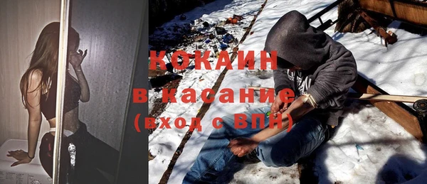 прущие грибы Лихославль