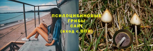 прущие грибы Лихославль