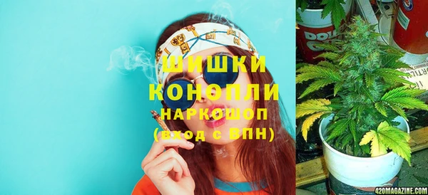 прущие грибы Лихославль