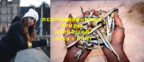 прущие грибы Лихославль