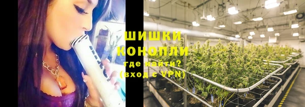 прущие грибы Лихославль