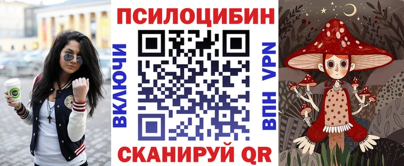 купить наркоту  Эртиль  Псилоцибиновые грибы ЛСД 